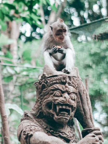 Exploring the Enchanting Beauty of Ubud, Bali: A Paradise for